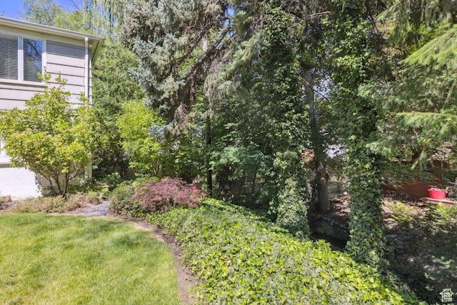 3563 S Canyon Way, Millcreek, UT 84106 - view of green lawn