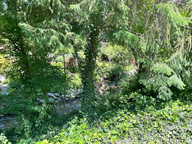 3563 S Canyon Way, Millcreek, UT 84106 - view of local wilderness