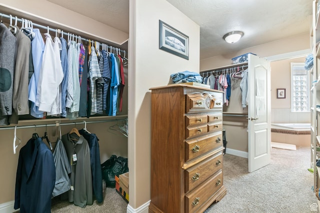 1287 W Bloomington Dr S Unit 7, Bloomington, UT 84790 - spacious closet with carpet