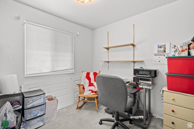 4924 W Barton Park Dr, West Jordan, UT 84081 - office space with carpet flooring