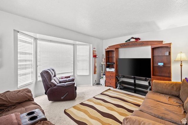4924 W Barton Park Dr, West Jordan, UT 84081 - living area with carpet and baseboards