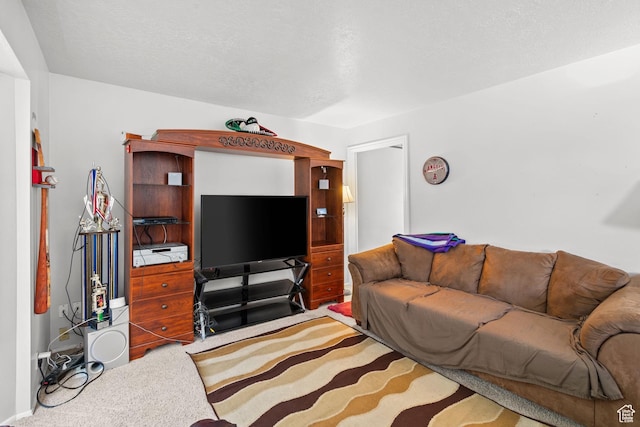 4924 W Barton Park Dr, West Jordan, UT 84081 - view of carpeted living room