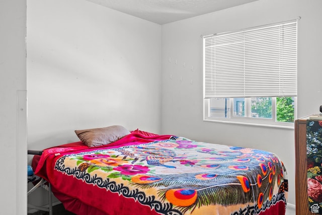 4924 W Barton Park Dr, West Jordan, UT 84081 - view of bedroom