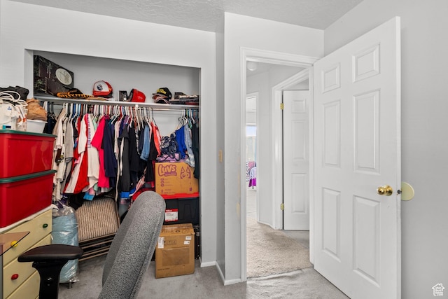 4924 W Barton Park Dr, West Jordan, UT 84081 - view of closet