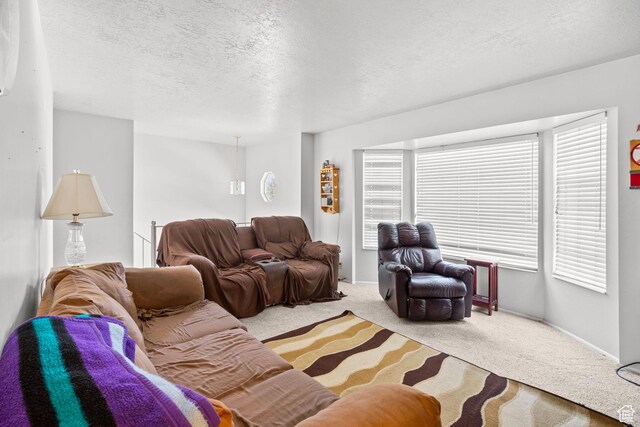 4924 W Barton Park Dr, West Jordan, UT 84081 - living room with carpet floors, a textured ceiling, and baseboards