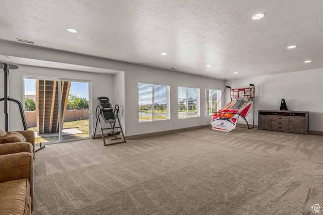 6653 W Dry Creek Ln, Highland, UT 84003 - recreation room featuring carpet, a textured ceiling, baseboards, recessed lighting, and healthy amount of natural light