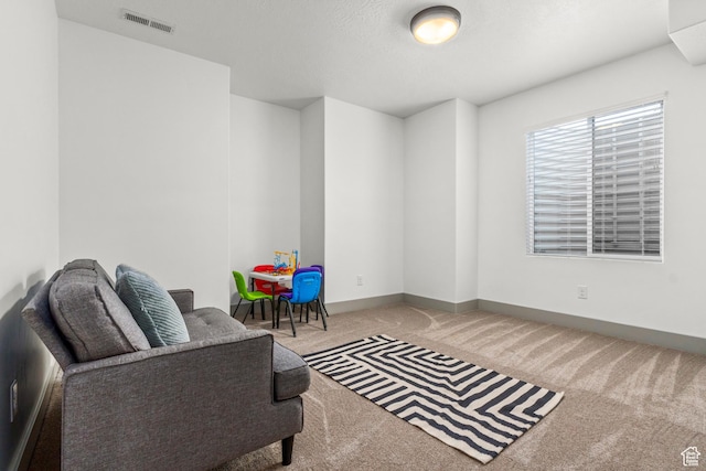 6653 W Dry Creek Ln, Highland, UT 84003 - living area with carpet floors and baseboards