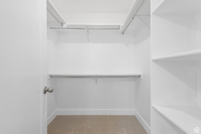 10773 S Beach Comber Way S, Jordan, UT 84009 - spacious closet with light carpet