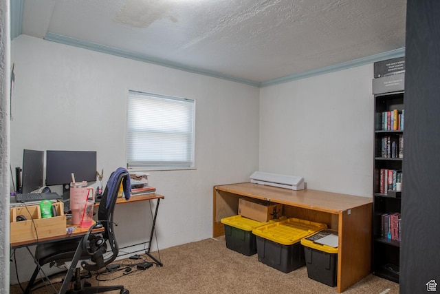 3746 S 7200 W, Magna, UT 84044 - office area featuring ornamental molding, carpet floors, and a textured ceiling
