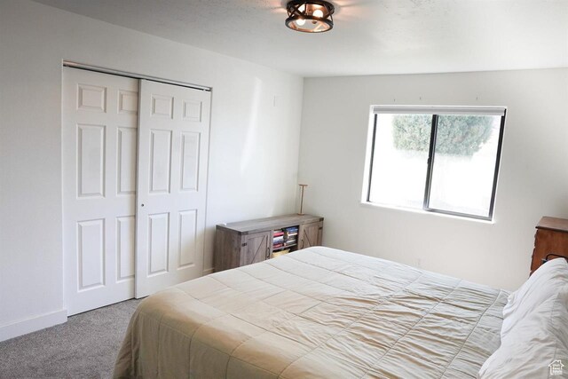 1204 Hyperion Way, Soda Springs, ID 83276 - bedroom featuring carpet floors and a closet