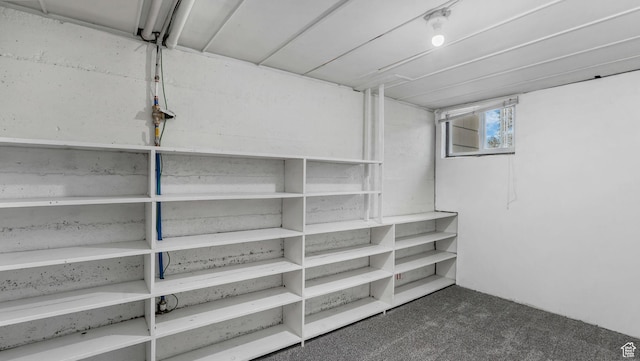 23 W Cottage Ave, Sandy, UT 84070 - view of storage room
