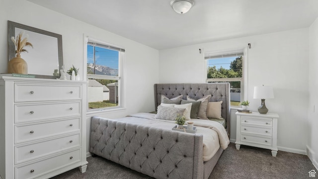 23 W Cottage Ave, Sandy, UT 84070 - bedroom with dark colored carpet, multiple windows, and baseboards