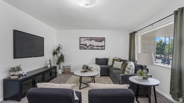 23 W Cottage Ave, Sandy, UT 84070 - living room with carpet and baseboards