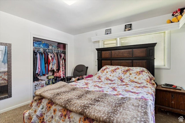 339 S Main St, Smithfield, UT 84335 - carpeted bedroom featuring baseboards and a closet