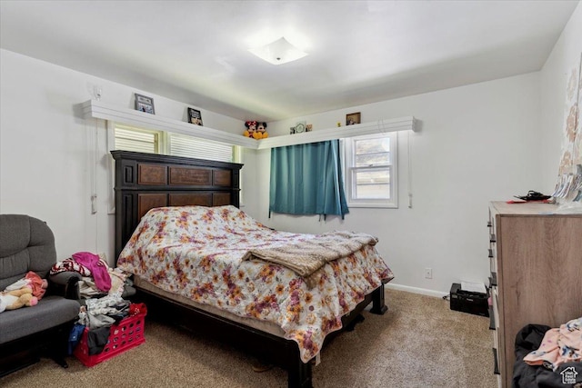 339 S Main St, Smithfield, UT 84335 - bedroom featuring carpet and baseboards