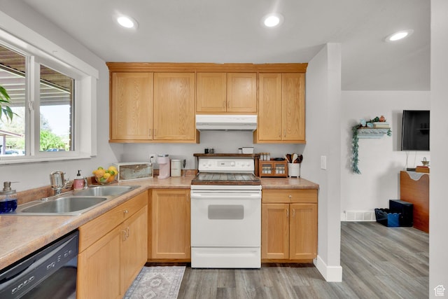 648 W 2200 N, Clinton, UT 84015 - kitchen featuring electric stove, under cabinet range hood, dishwasher, a sink, and light wood-style flooring