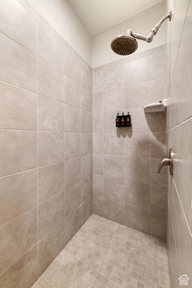 5048 N Escapes Dr, St George, UT 84770 - bathroom featuring tiled shower