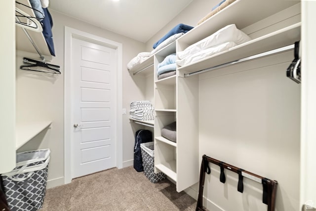 5048 N Escapes Dr, St George, UT 84770 - walk in closet featuring carpet flooring