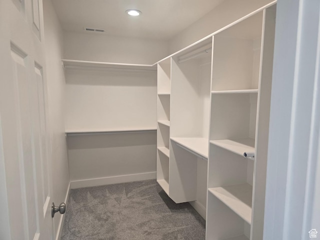 1573 N Woodside Dr, Spanish Fork, UT 84660 - walk in closet with carpet flooring
