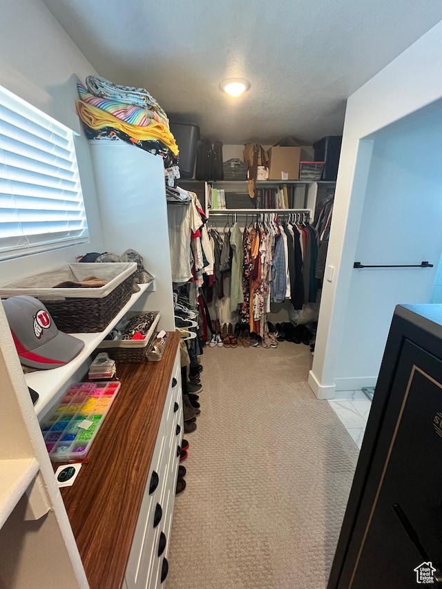 3198 N 3475 W, Plain City, UT 84404 - walk in closet featuring carpet