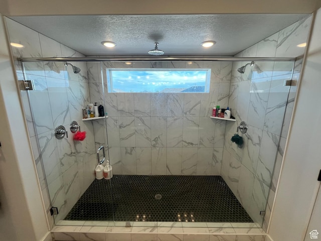 3198 N 3475 W, Plain City, UT 84404 - full bath with plenty of natural light, a marble finish shower, and a textured ceiling