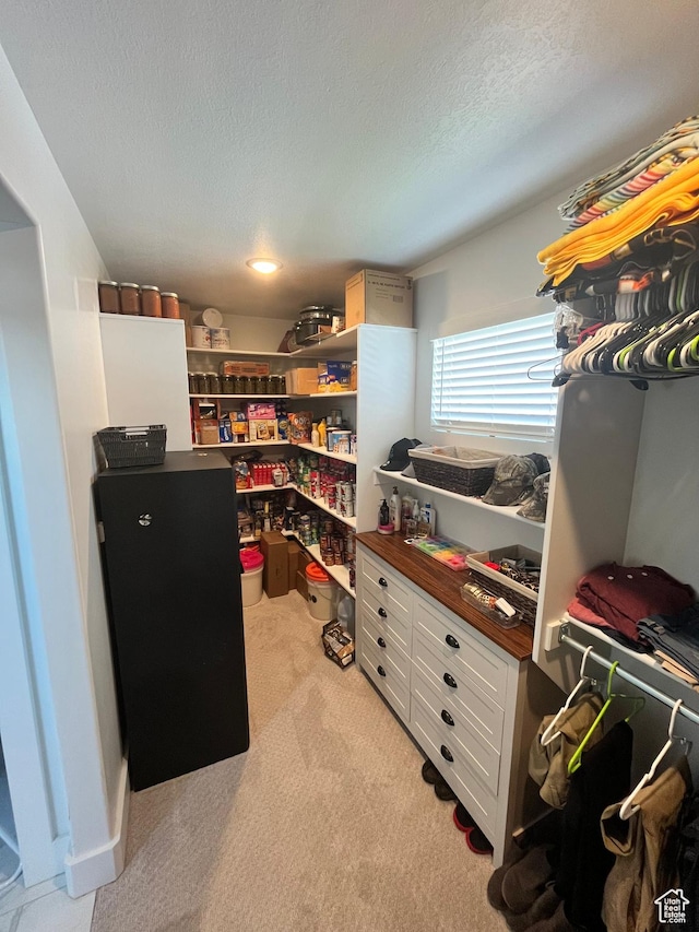 3198 N 3475 W, Plain City, UT 84404 - view of pantry