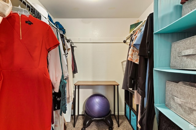 4614 S Quail Park Dr E Unit A, Millcreek, UT 84117 - walk in closet with carpet floors