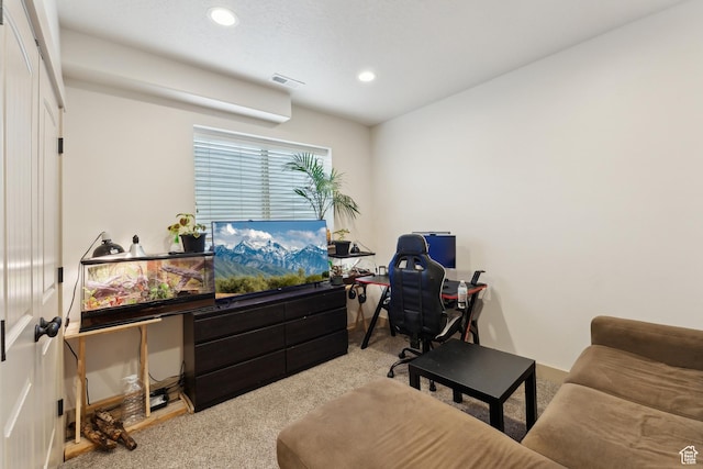 261 W 1200 S, Lehi, UT 84043 - home office with carpet flooring and recessed lighting