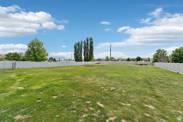 261 W 1200 S, Lehi, UT 84043 - view of yard