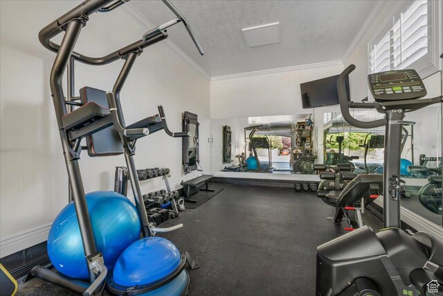 10605 S Willow Valley Rd W, South Jordan, UT 84095 - gym with crown molding