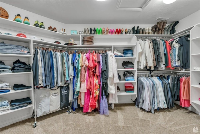 10605 S Willow Valley Rd W, South Jordan, UT 84095 - walk in closet with attic access and carpet floors