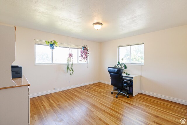 374 W Melba Dr S, Tooele, UT 84074 - home office with healthy amount of natural light, light wood-style floors, and baseboards