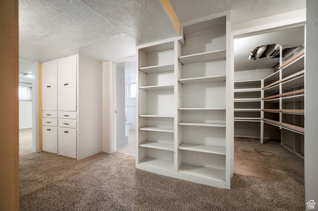 95 E 1400 S, Bountiful, UT 84010 - spacious closet featuring carpet floors