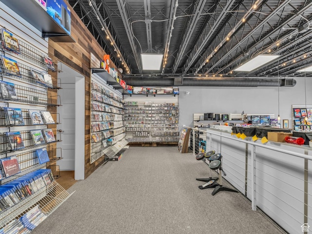 40 S Freedom Blvd, Provo, UT 84601 - below grade area with carpet flooring