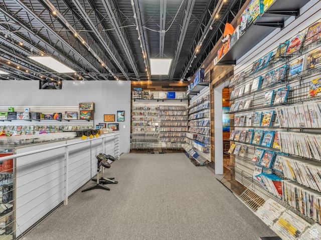 40 S Freedom Blvd, Provo, UT 84601 - misc room featuring carpet floors