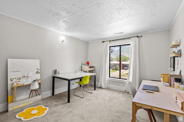845 N 950 W, Provo, UT 84604 - office featuring a textured ceiling and carpet floors