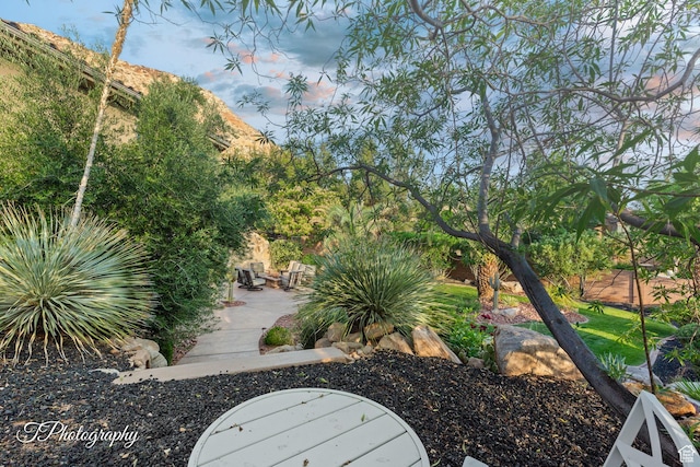 916 E Apache Dr, Washington, UT 84780 - view of yard with a patio
