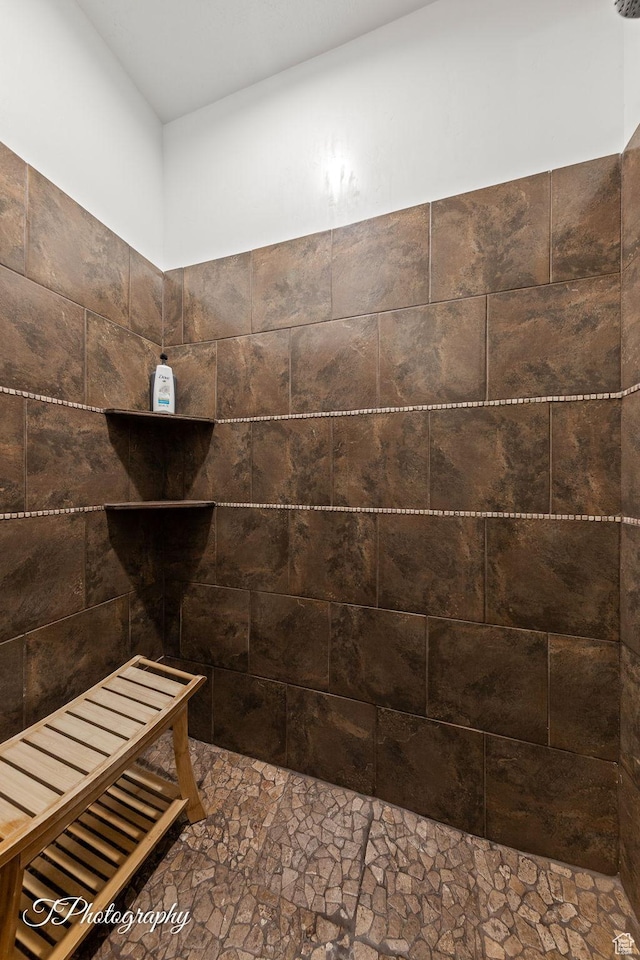 916 E Apache Dr, Washington, UT 84780 - bathroom with stone finish flooring and tiled shower