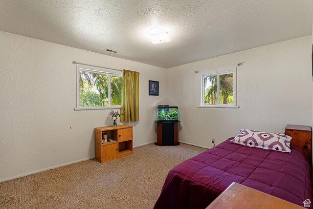 1435 W 600 S, Logan, UT 84321 - bedroom featuring carpet floors, a textured ceiling, and baseboards