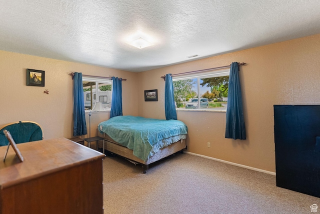 1435 W 600 S, Logan, UT 84321 - carpeted bedroom featuring multiple windows, a textured ceiling, a textured wall, and baseboards