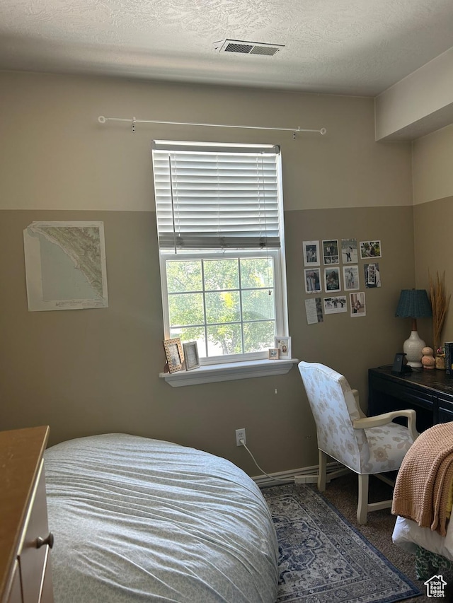 532 N Seven Peaks Blvd Unit 303, Provo, UT 84606 - view of carpeted bedroom