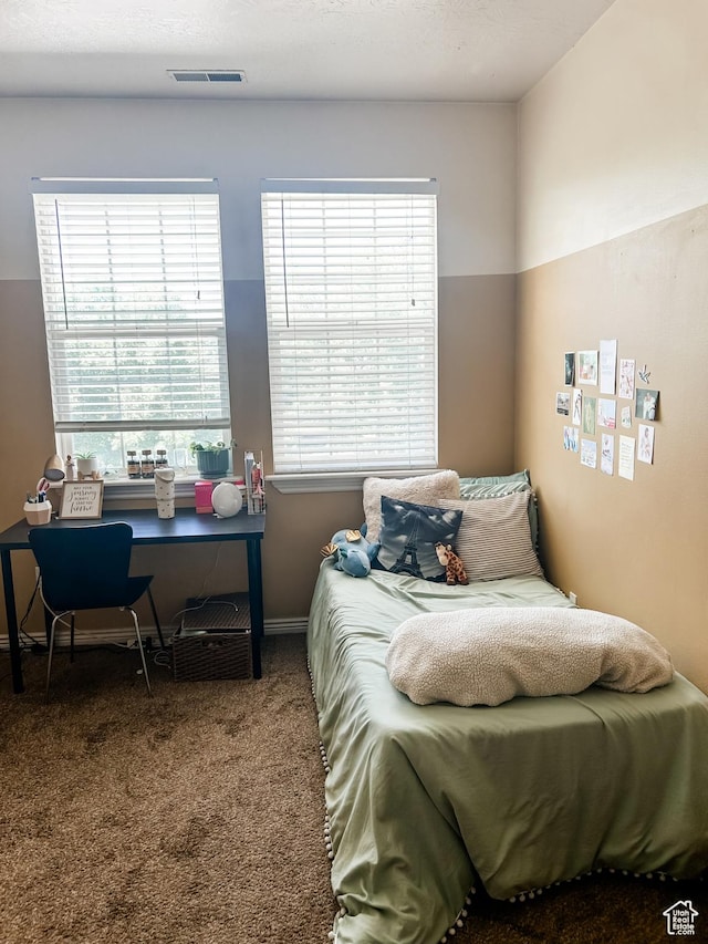 532 N Seven Peaks Blvd Unit 303, Provo, UT 84606 - view of carpeted bedroom