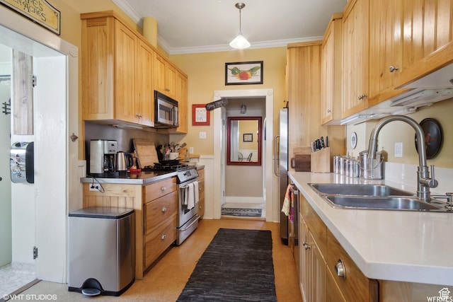 211 E 100 N, Midway, UT 84049 - kitchen with stainless steel appliances, a sink, and ornamental molding