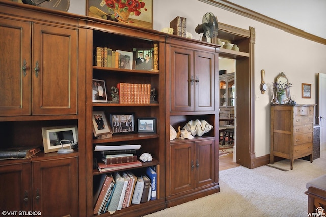 211 E 100 N, Midway, UT 84049 - detailed view of carpet flooring and ornamental molding