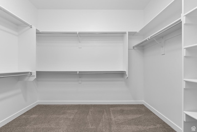 6564 N Bald Unit D195, Eagle Mountain, UT 84005 - spacious closet with carpet
