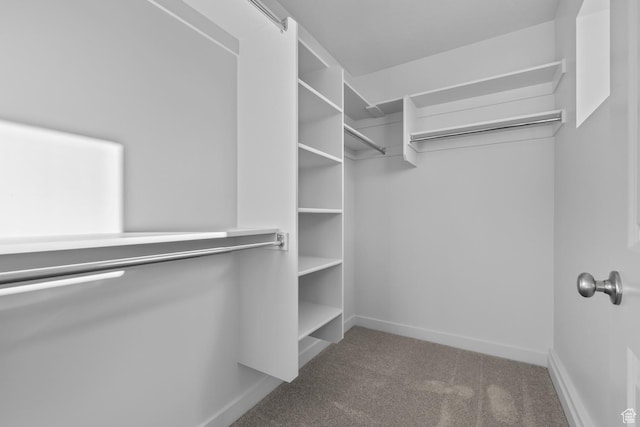 1822 N 180 E, Heber City, UT 84032 - walk in closet featuring carpet floors