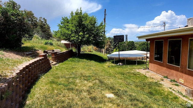 470 E Parkway Dr, Cedar City, UT 84721 - view of green lawn with a trampoline