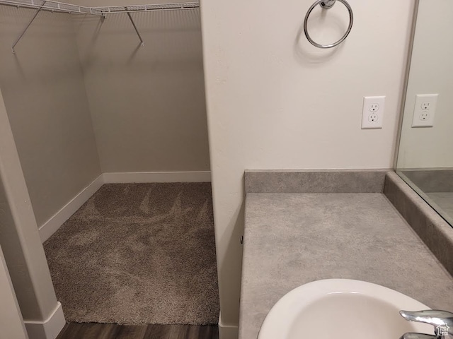 14474 Renner Ln Unit 302, Herriman, UT 84096 - bathroom with a walk in closet, a sink, and baseboards