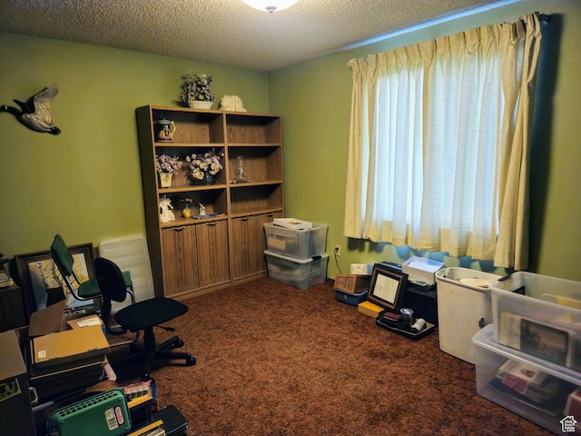 719 Adams St, Montpelier, ID 83254 - office space with carpet flooring and a textured ceiling