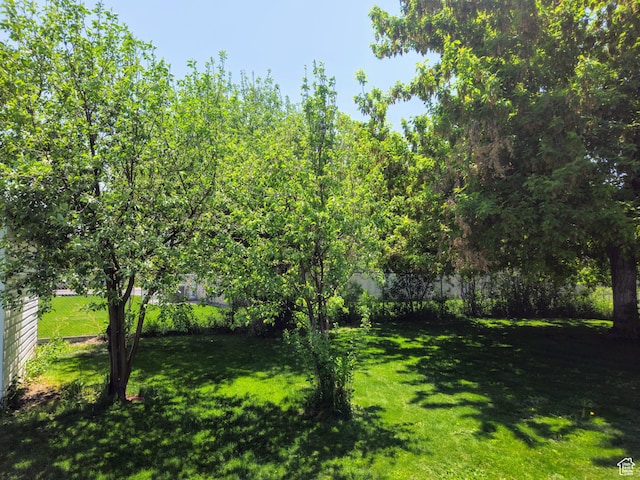 719 Adams St, Montpelier, ID 83254 - view of grassy yard